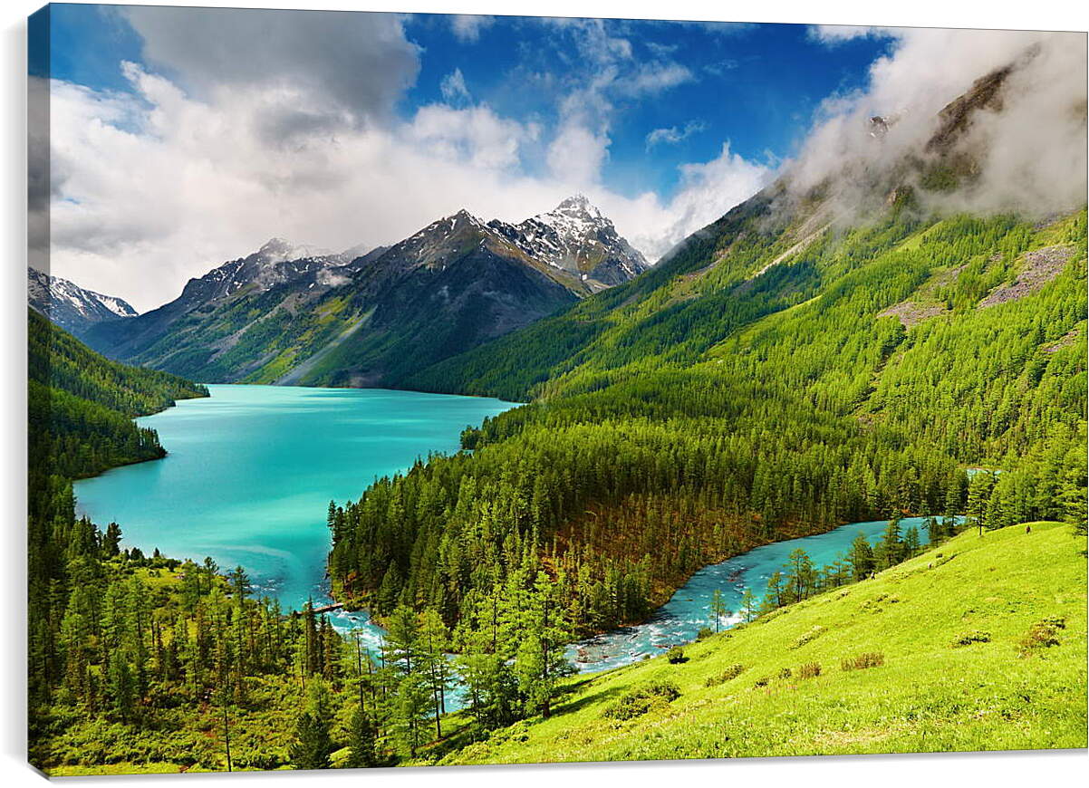 Постер и плакат - Лес с водоёмом на фоне гор