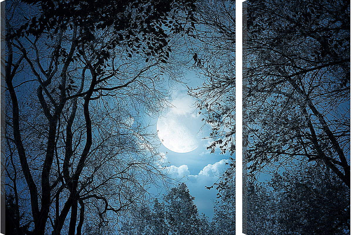 Модульная картина - Луна в листьях
