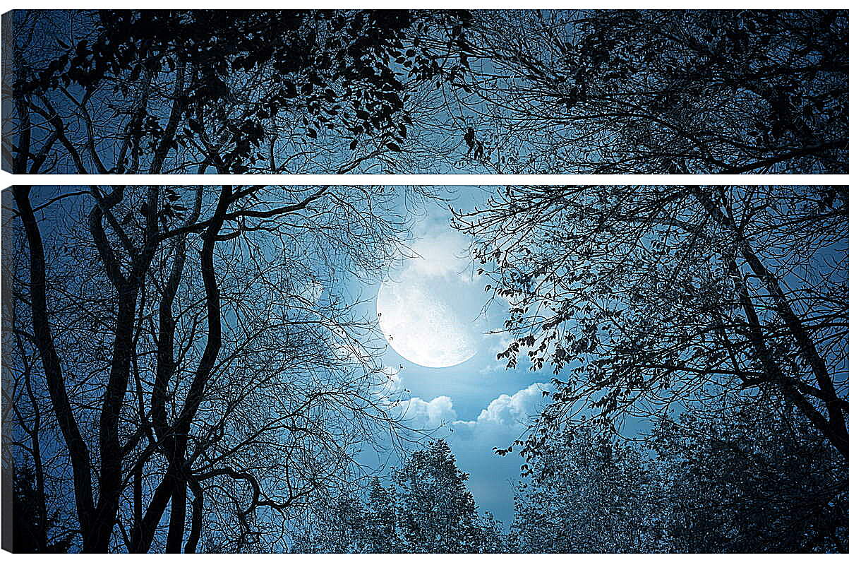 Модульная картина - Луна в листьях

