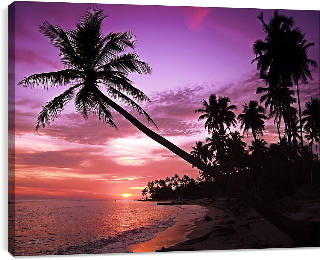 Постер и плакат - Пальмы в фиолетовом закате
