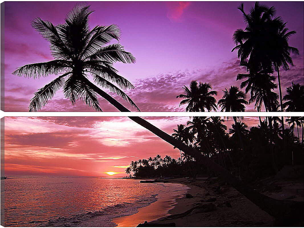 Модульная картина - Пальмы в фиолетовом закате
