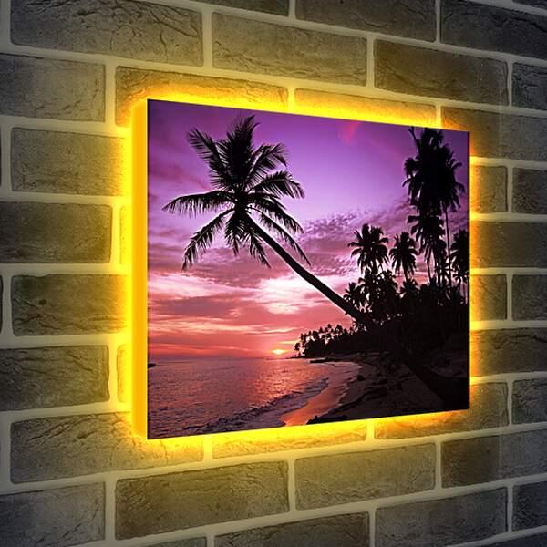 Лайтбокс световая панель - Пальмы в фиолетовом закате

