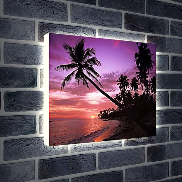 Лайтбокс световая панель - Пальмы в фиолетовом закате
