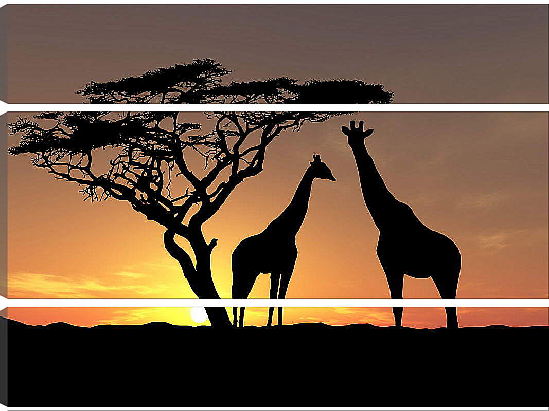 Модульная картина - Жирафы в закате дня
