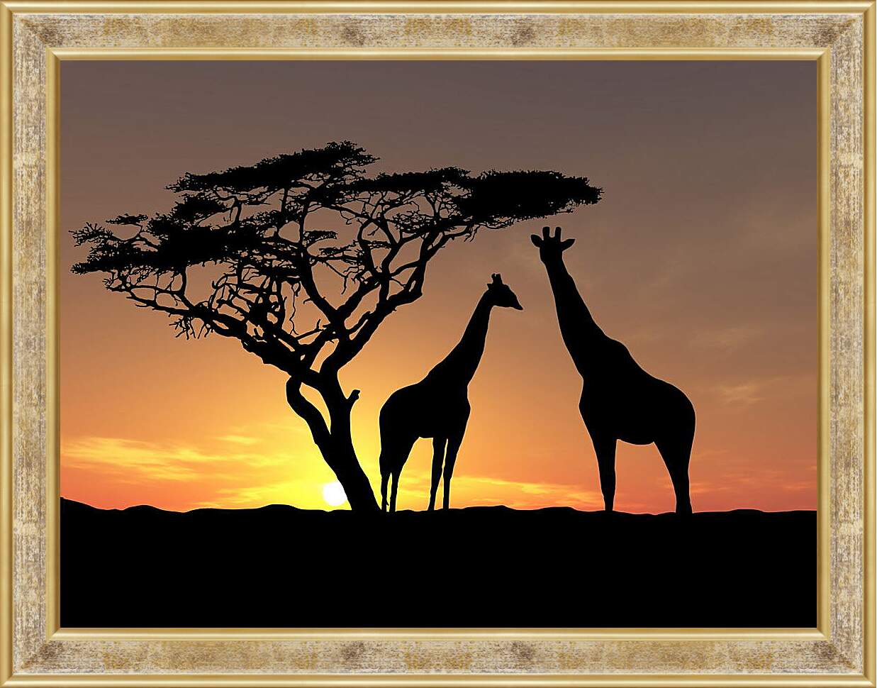 Картина в раме - Жирафы в закате дня
