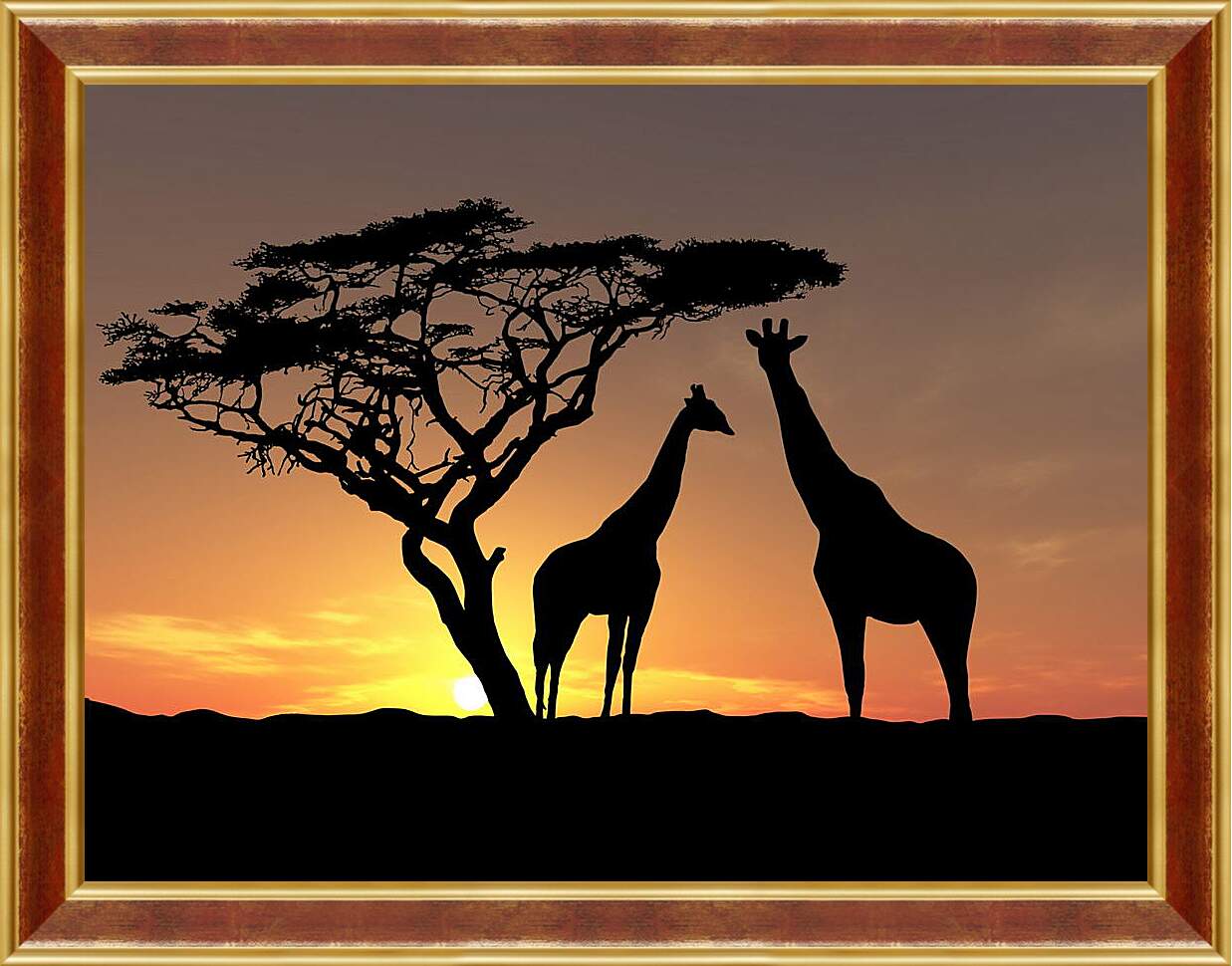 Картина в раме - Жирафы в закате дня
