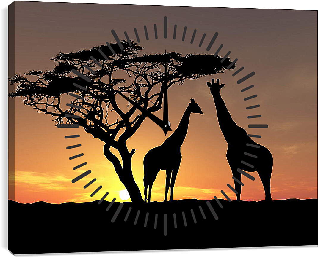 Часы картина - Жирафы в закате дня
