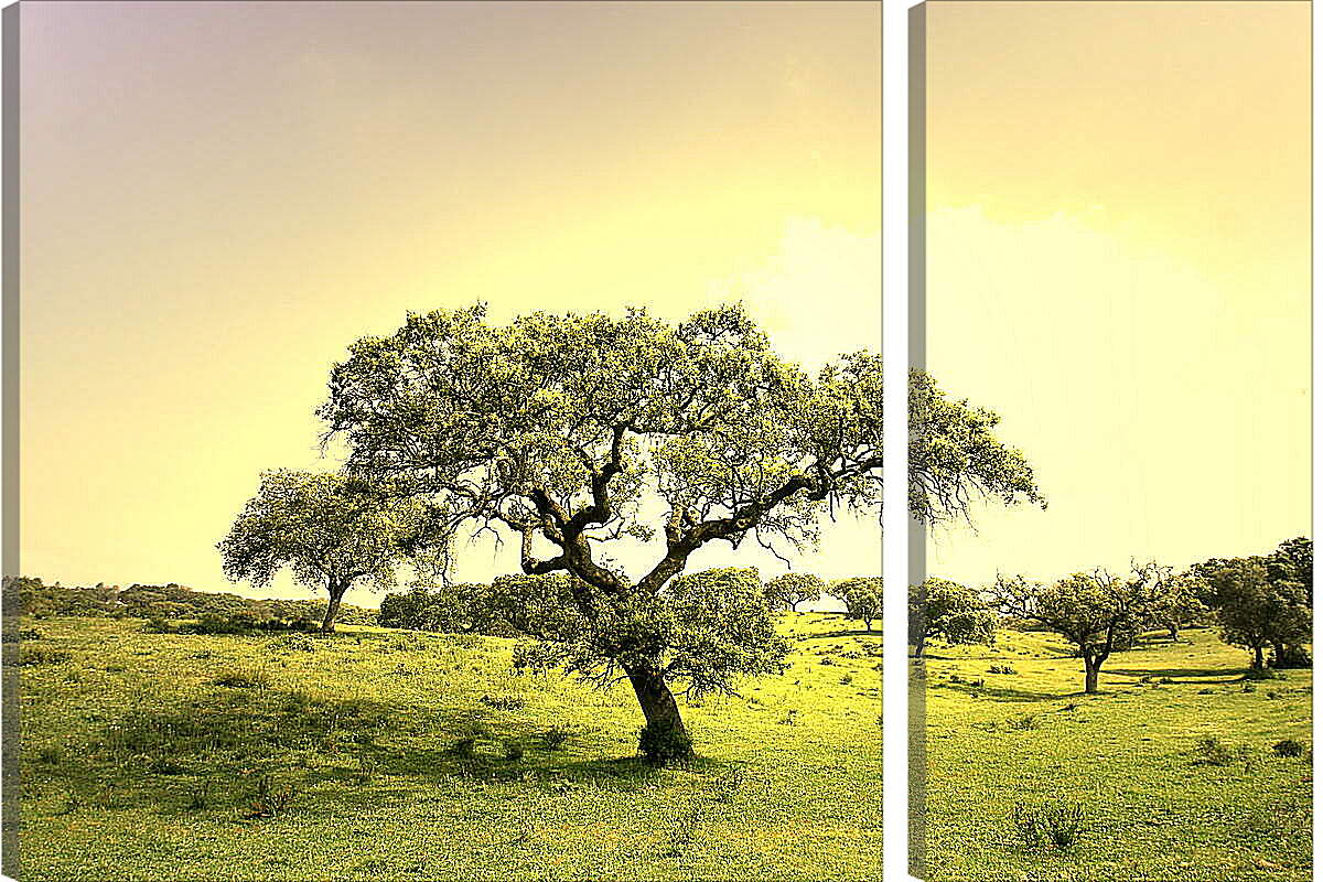 Модульная картина - Жизнь деревьев
