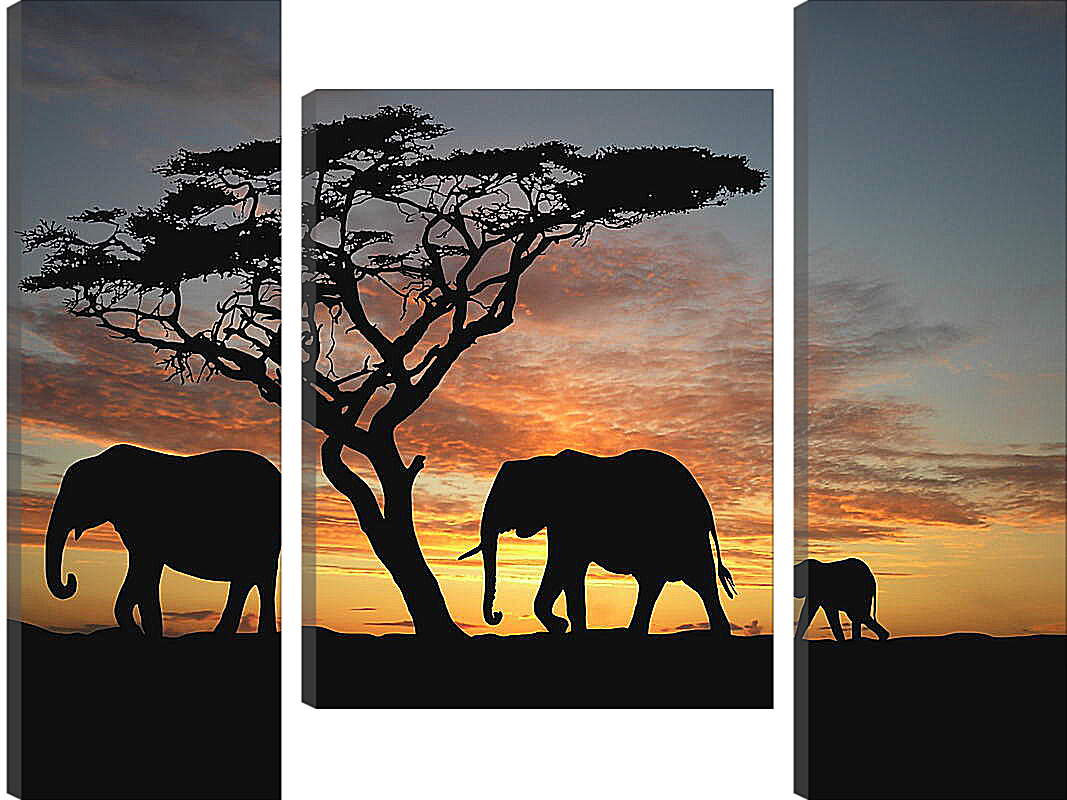 Модульная картина - Три слона
