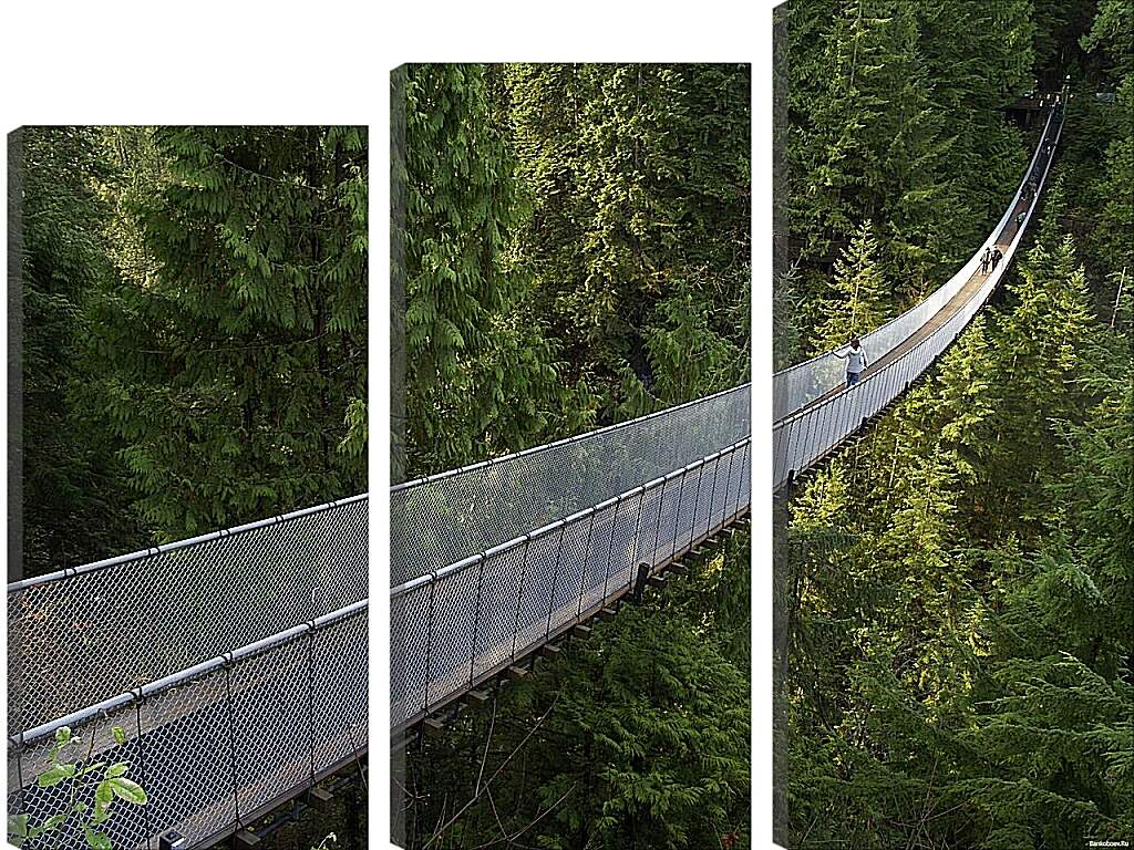 Модульная картина - Подвесной мост в Ванкувере