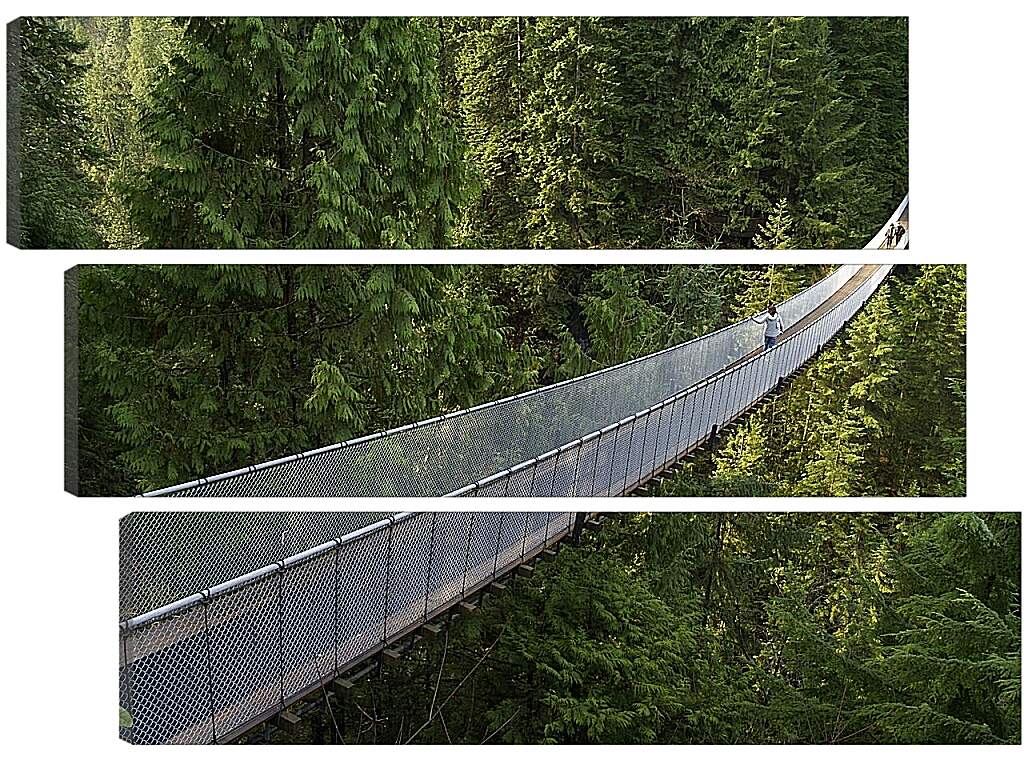 Модульная картина - Подвесной мост в Ванкувере