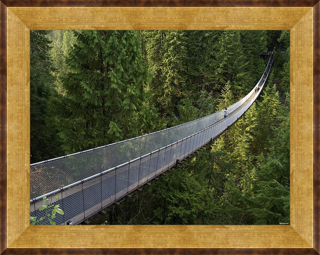Картина в раме - Подвесной мост в Ванкувере