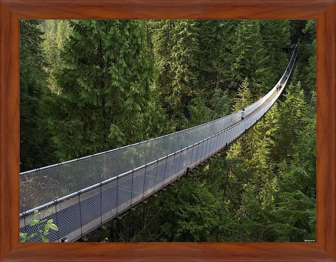 Картина в раме - Подвесной мост в Ванкувере
