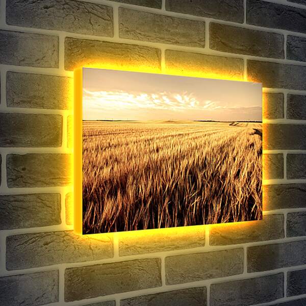 Лайтбокс световая панель - Желтое поле
