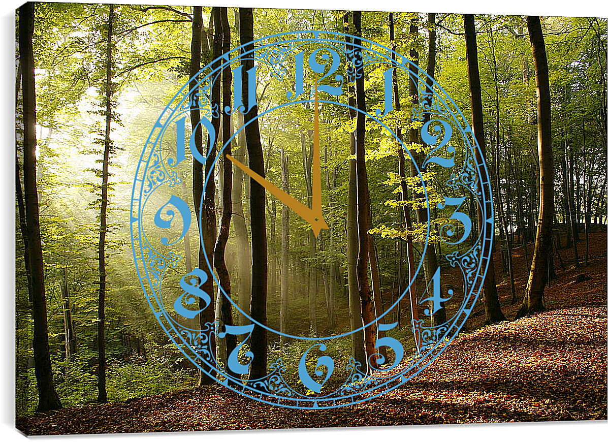 Часы картина - Лучи в лесу
