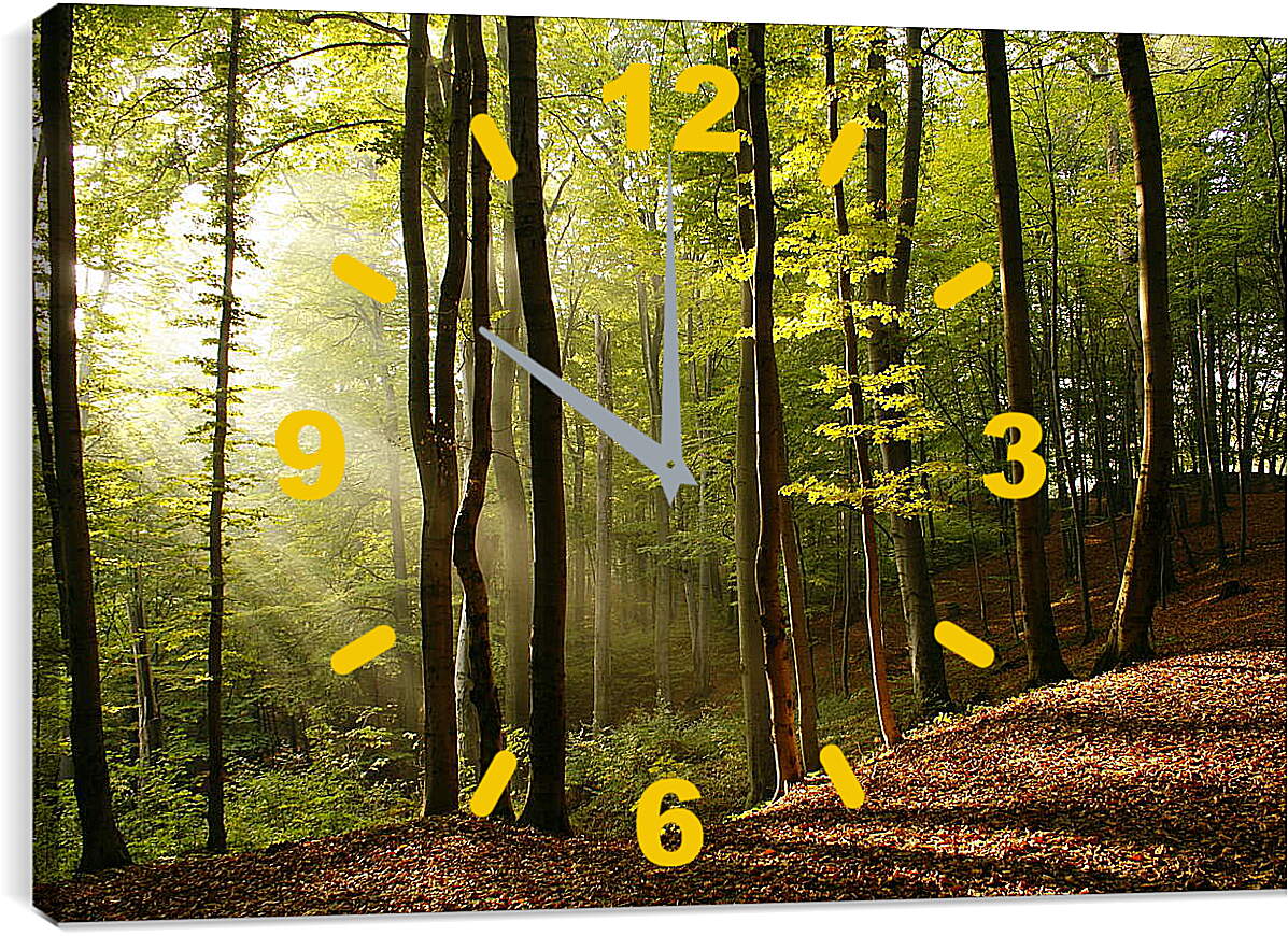 Часы картина - Лучи в лесу
