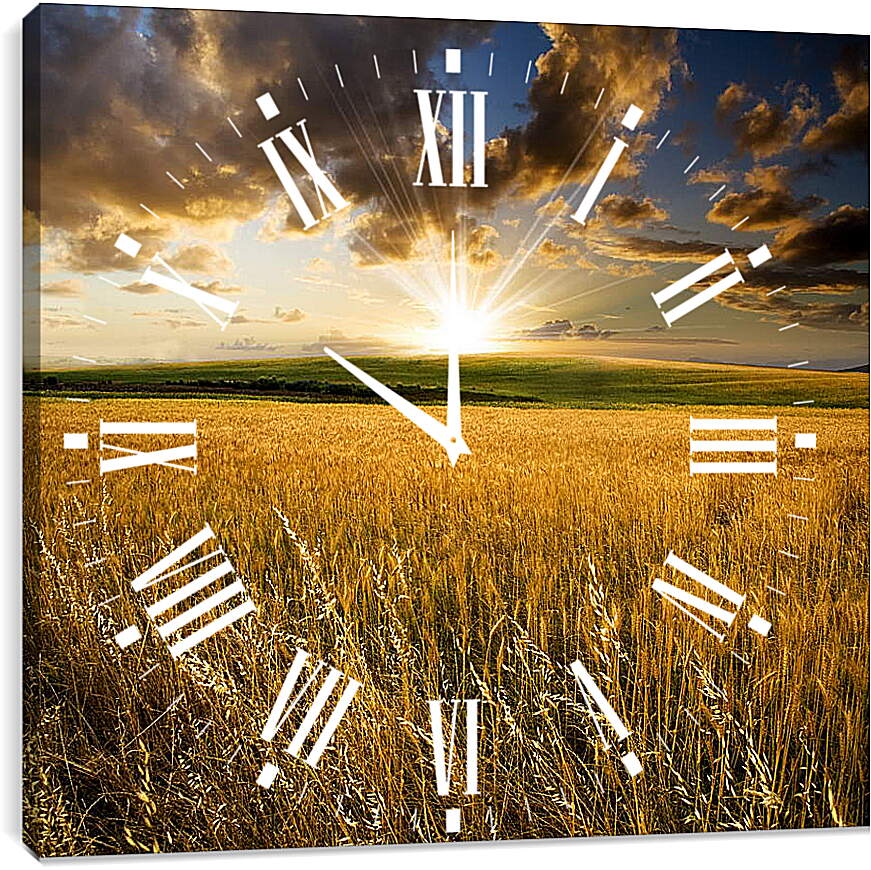Часы картина - Рассвет над полем
