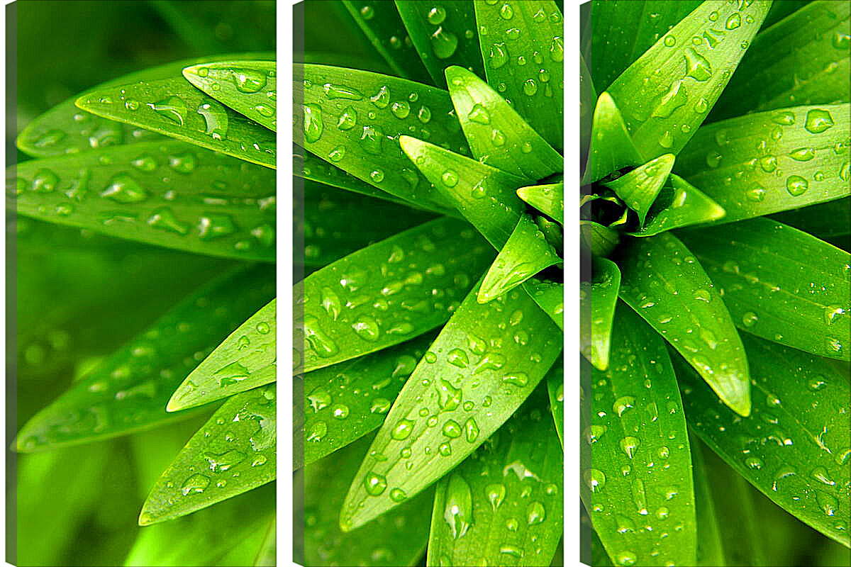 Модульная картина - Ярко зеленые листья
