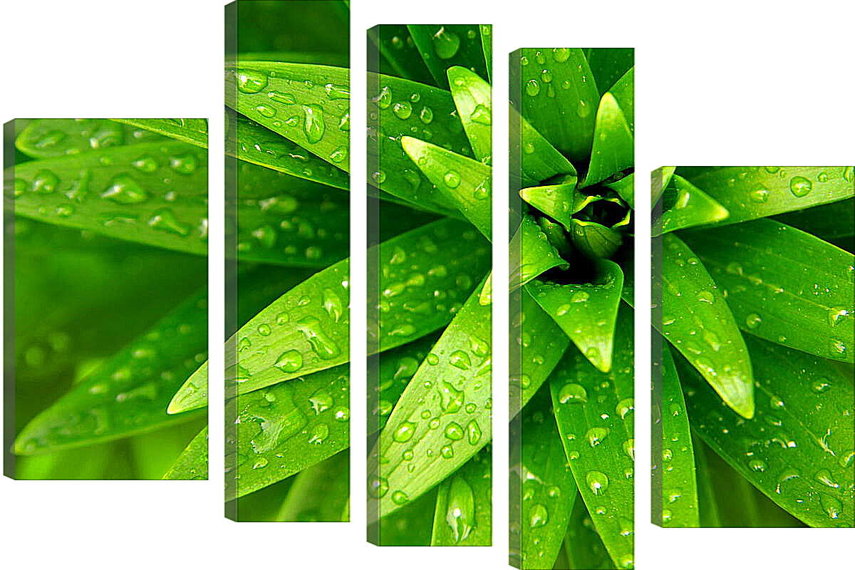 Модульная картина - Ярко зеленые листья
