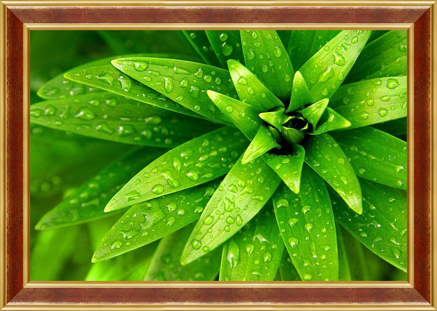Картина в раме - Ярко зеленые листья
