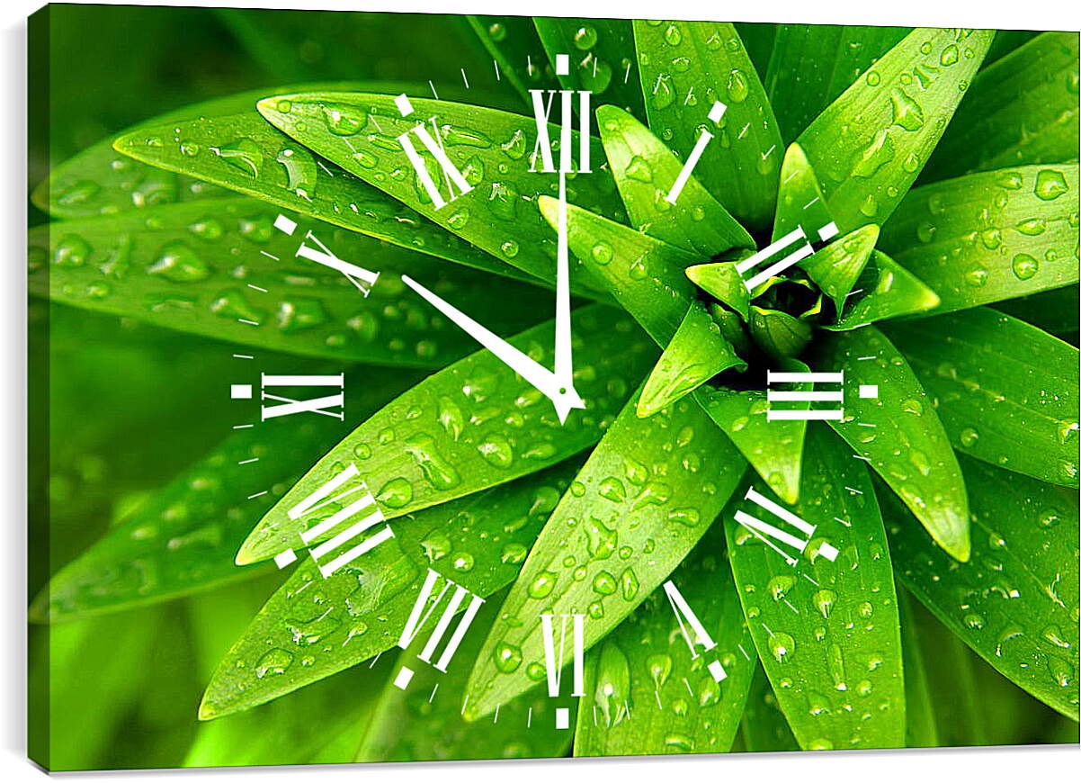Часы картина - Ярко зеленые листья
