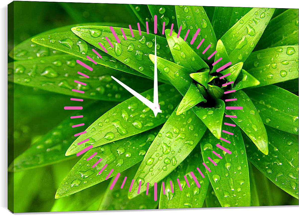 Часы картина - Ярко зеленые листья
