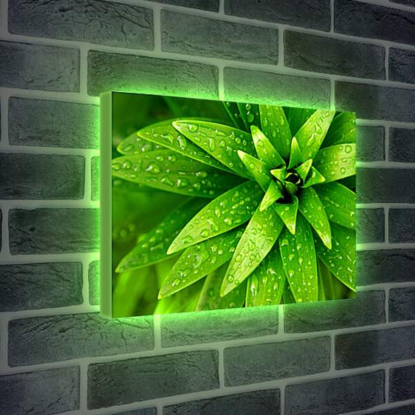 Лайтбокс световая панель - Ярко зеленые листья
