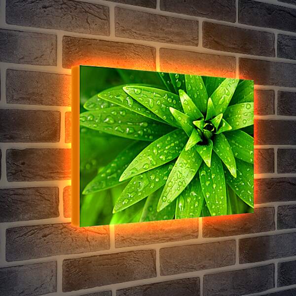 Лайтбокс световая панель - Ярко зеленые листья
