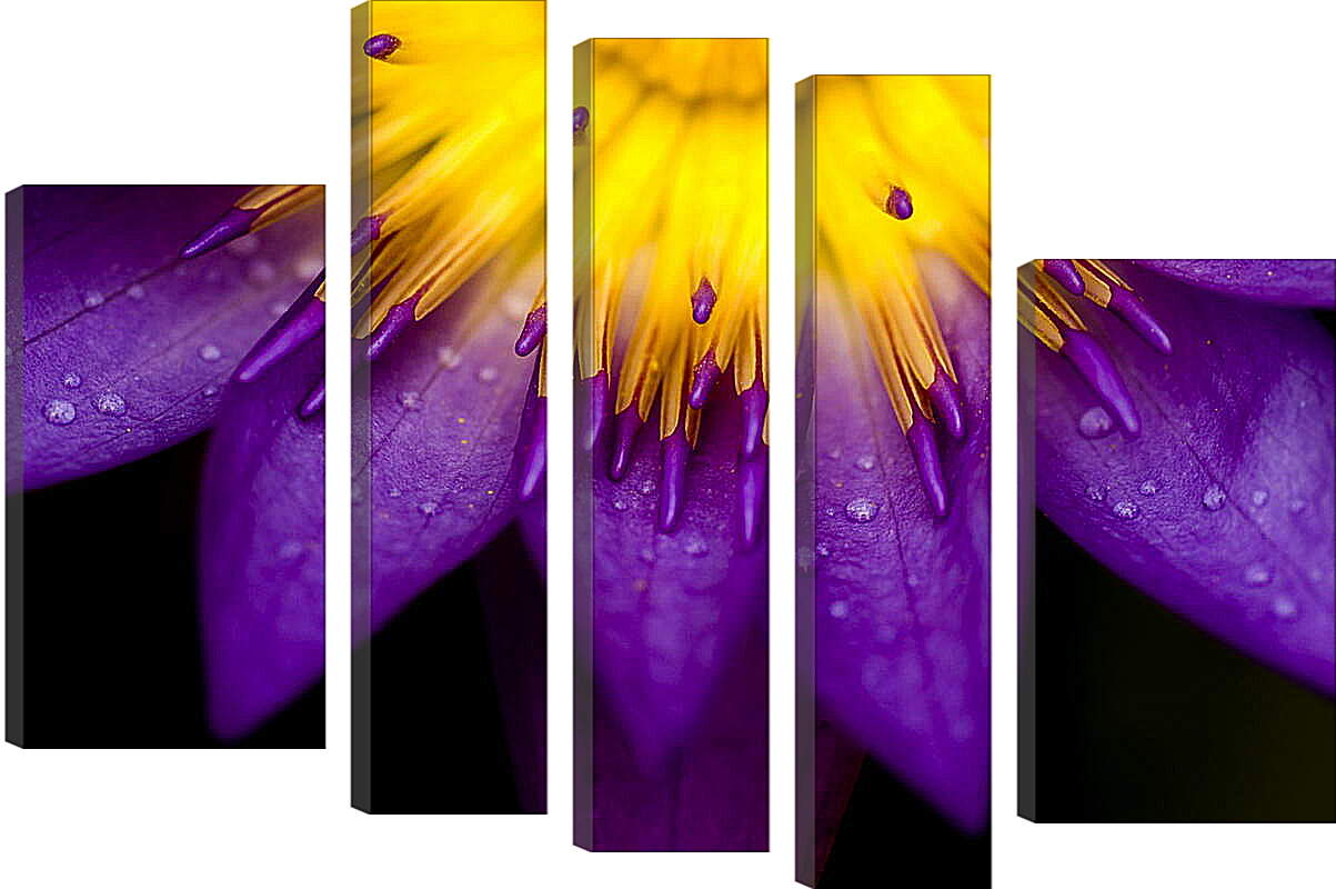 Модульная картина - Желто-фиолетовый цветок