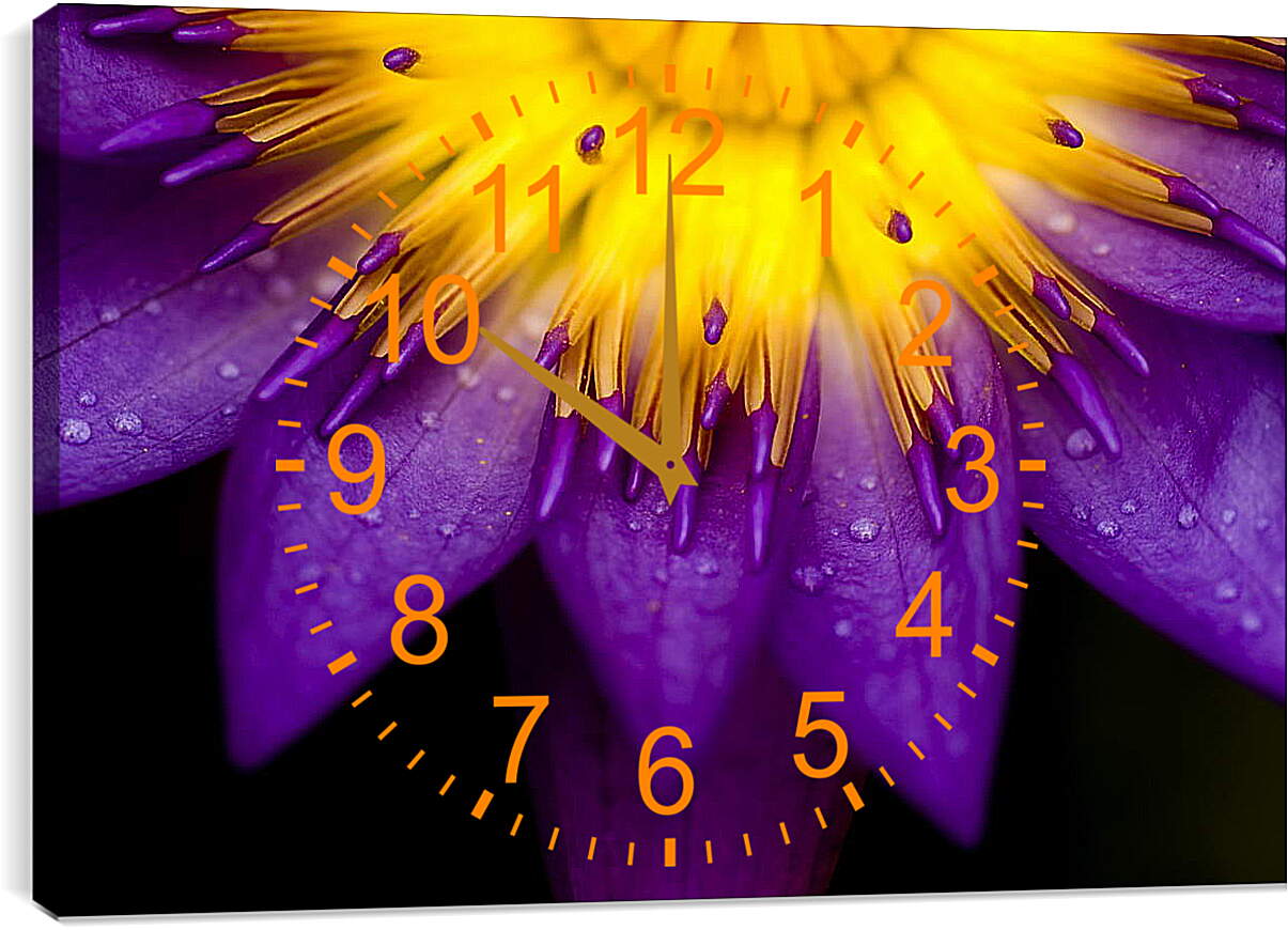 Часы картина - Желто-фиолетовый цветок