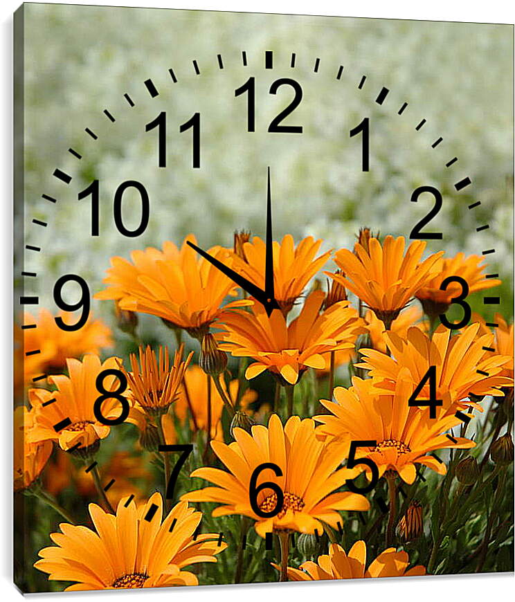 Часы картина - Оранжевые герберы
