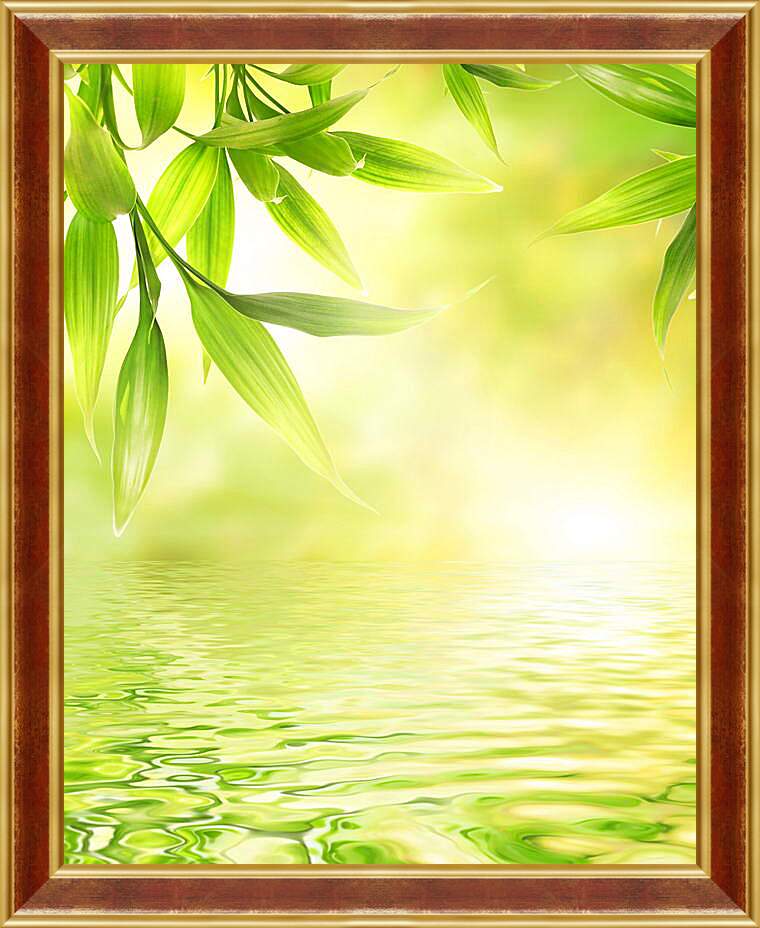 Картина в раме - Листья над водой
