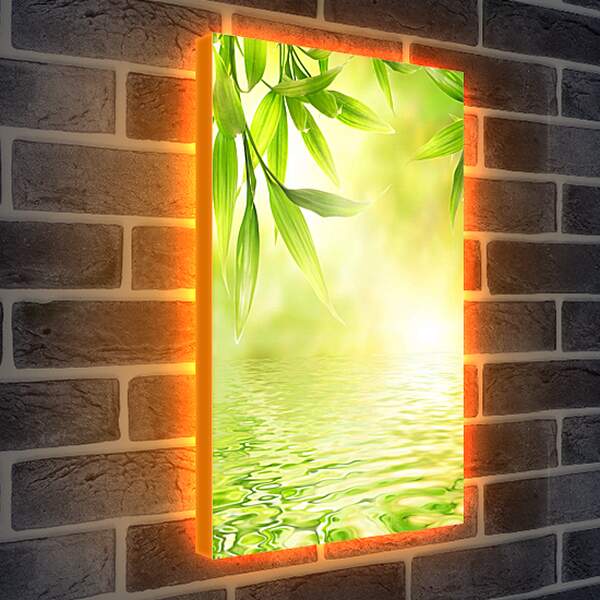 Лайтбокс световая панель - Листья над водой
