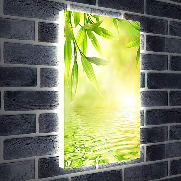 Лайтбокс световая панель - Листья над водой
