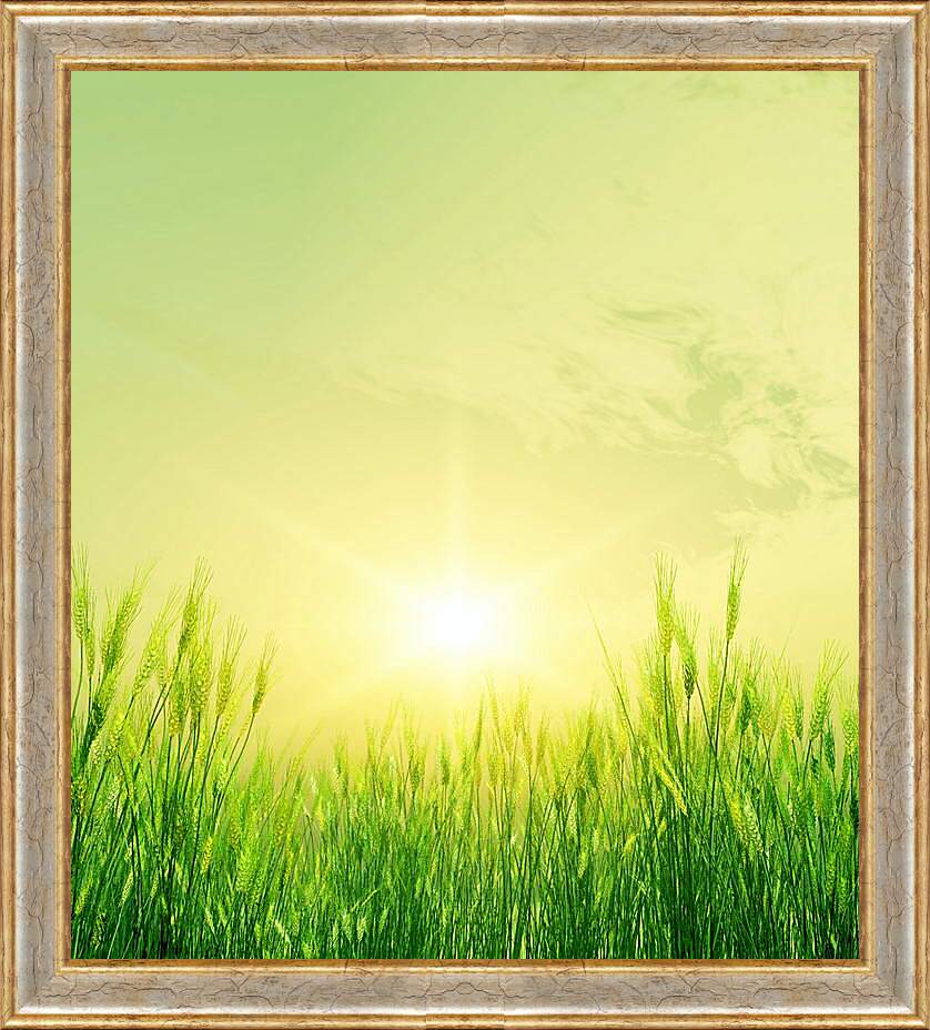 Картина в раме - Солнце над колосьями
