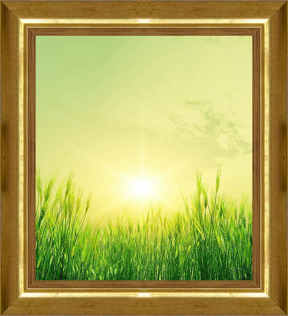 Картина в раме - Солнце над колосьями
