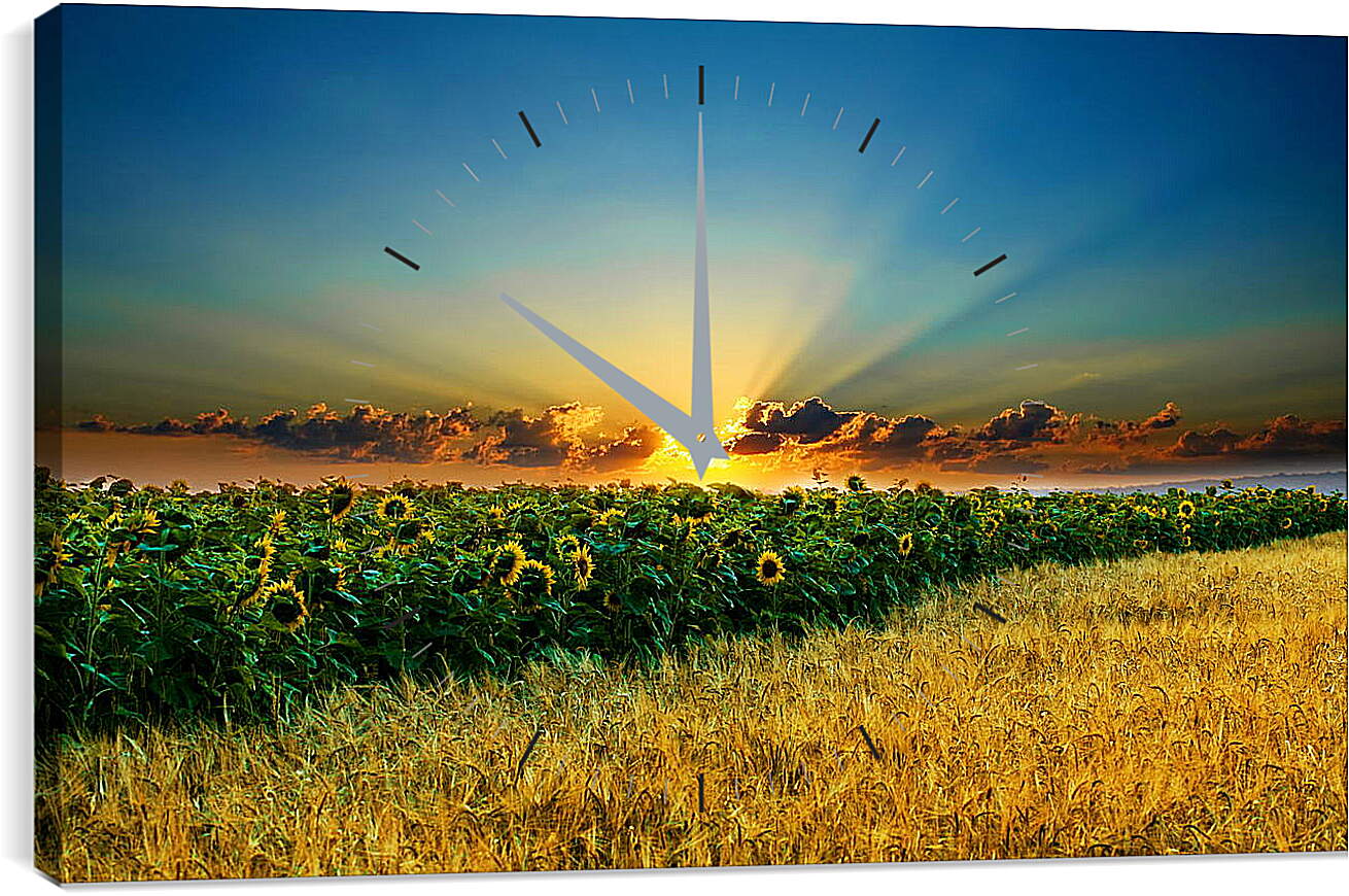 Часы картина - Солнце из подсолнухов
