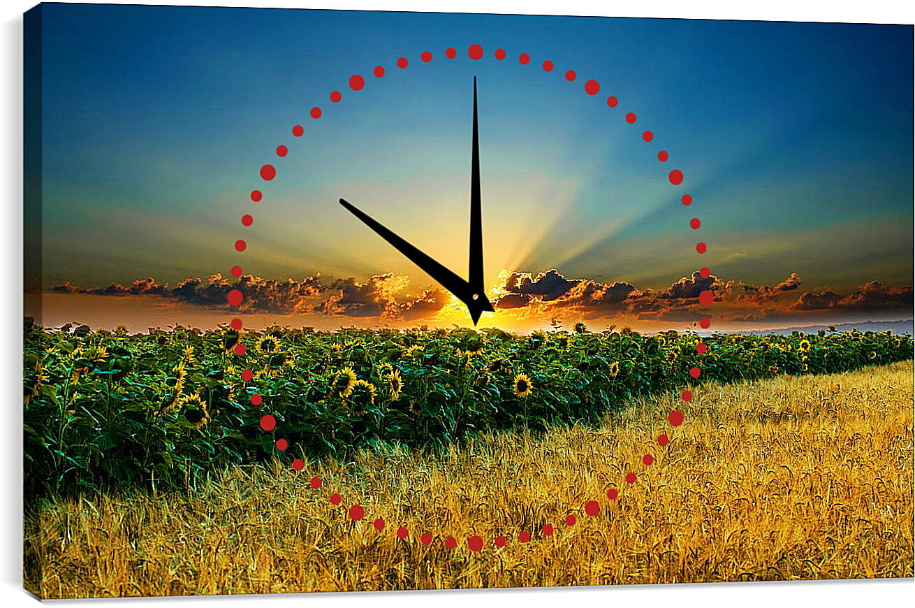 Часы картина - Солнце из подсолнухов

