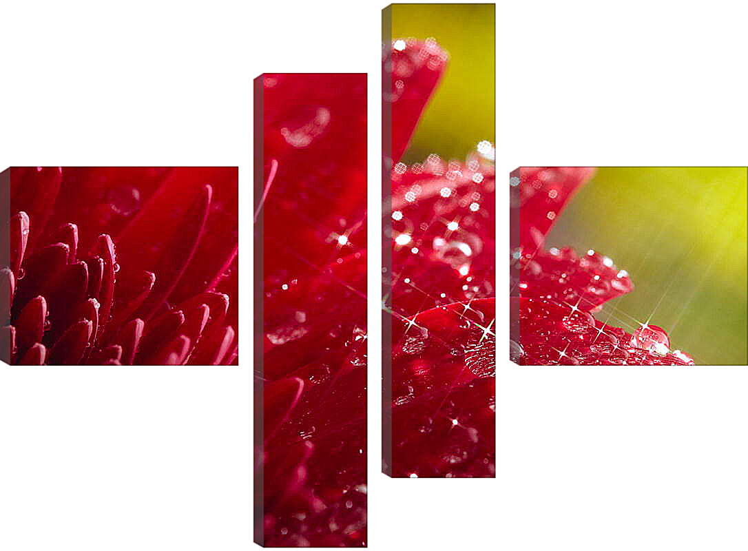 Модульная картина - Красный цветок в блеске
