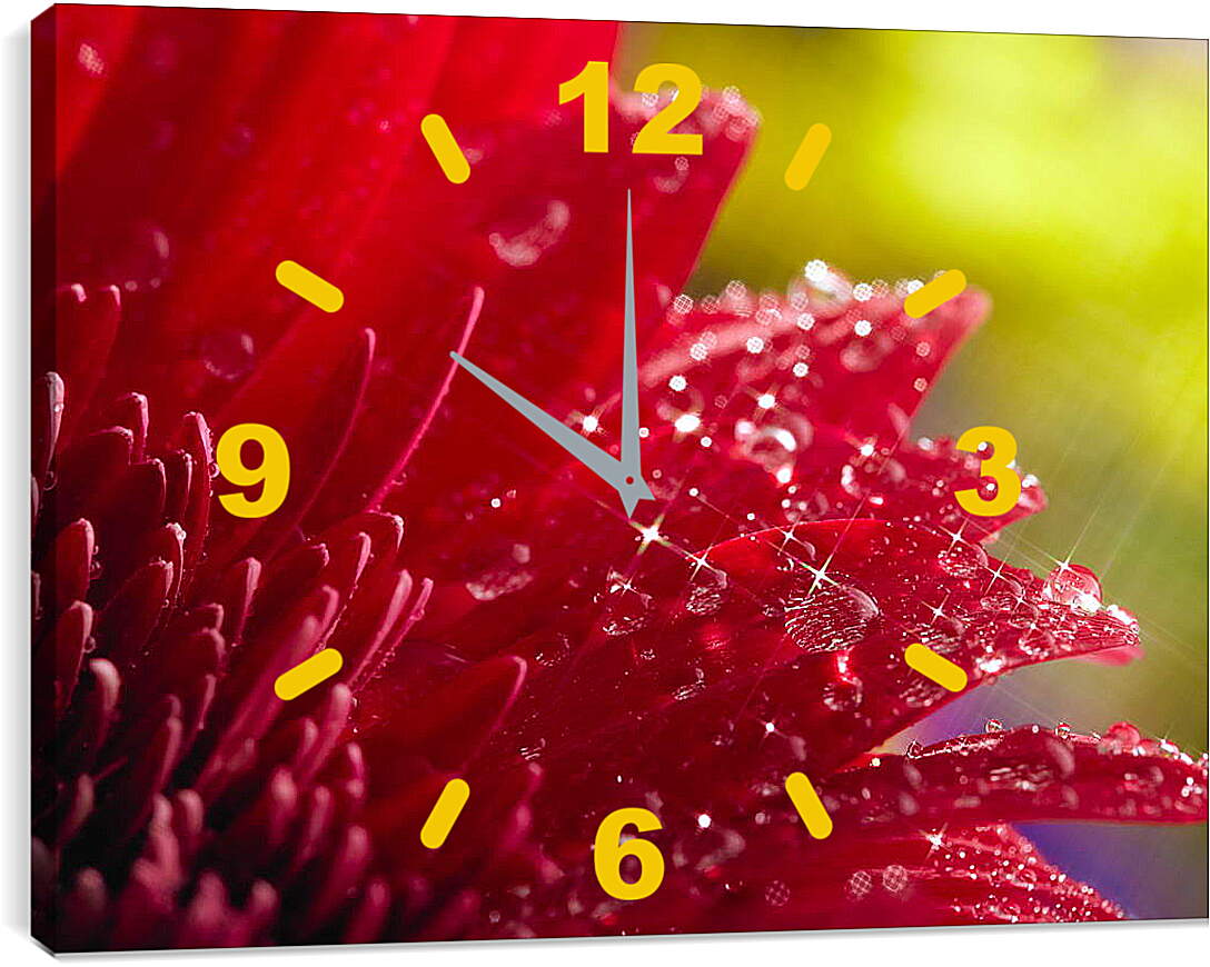 Часы картина - Красный цветок в блеске
