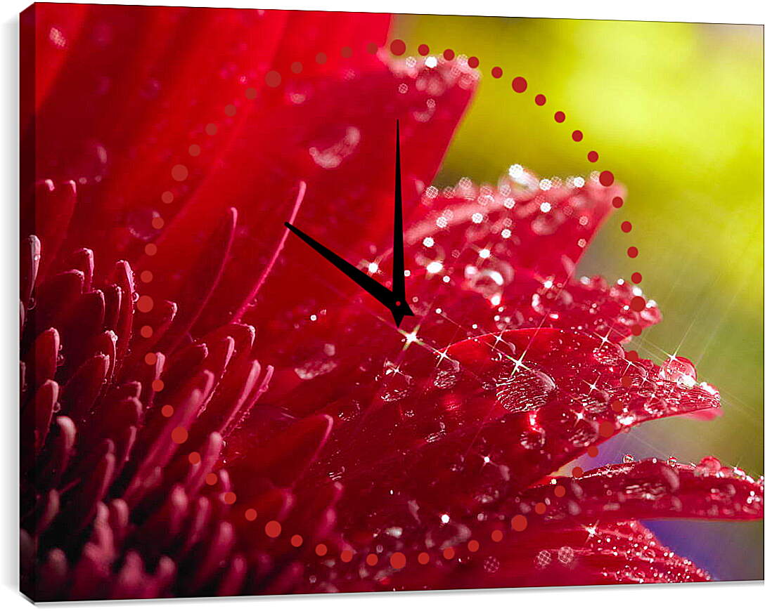 Часы картина - Красный цветок в блеске
