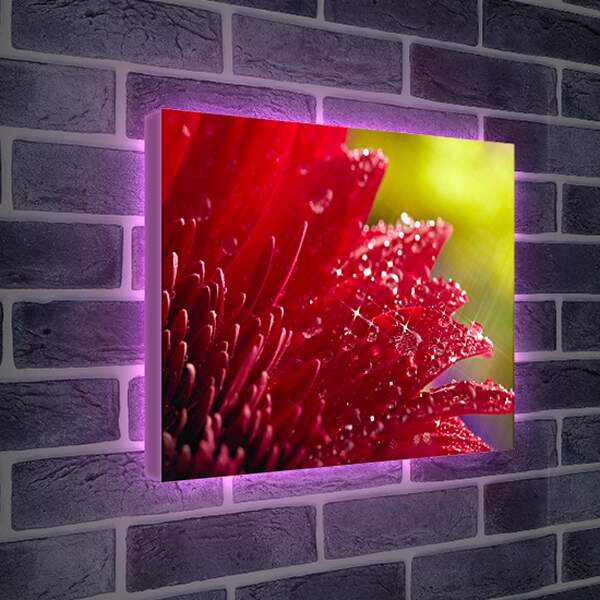 Лайтбокс световая панель - Красный цветок в блеске
