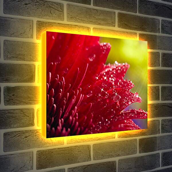 Лайтбокс световая панель - Красный цветок в блеске
