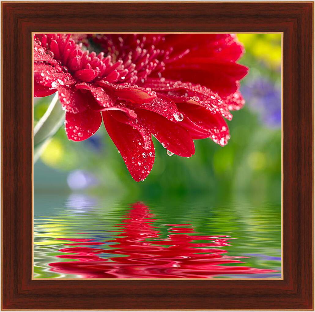 Картина в раме - Красный цветок над водой

