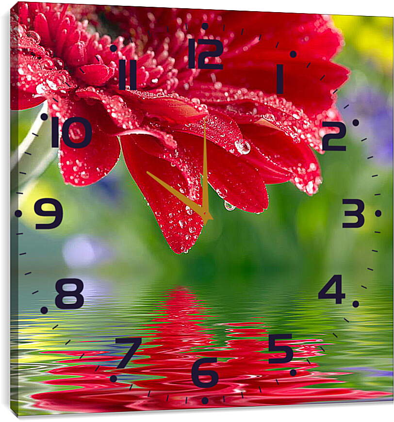 Часы картина - Красный цветок над водой

