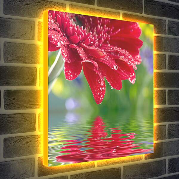 Лайтбокс световая панель - Красный цветок над водой

