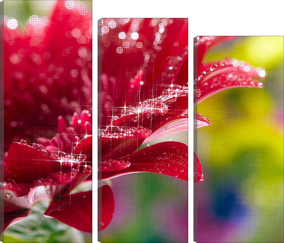 Модульная картина - Очень красивый красный цветок
