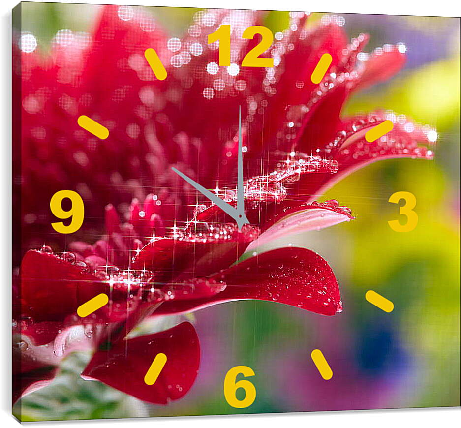 Часы картина - Очень красивый красный цветок

