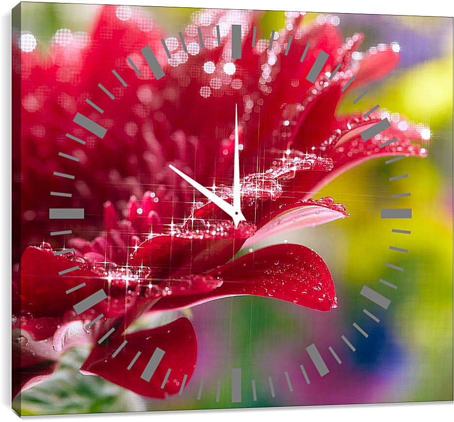 Часы картина - Очень красивый красный цветок
