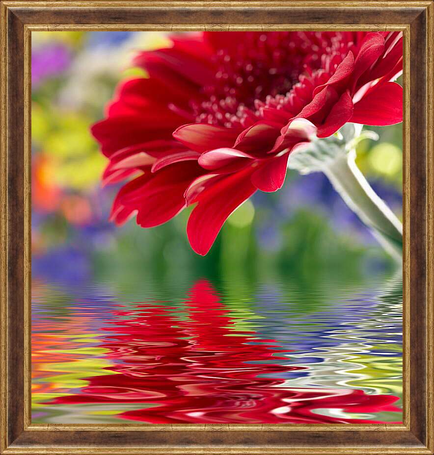 Картина в раме - Отражение цветка
